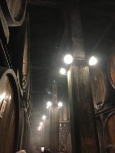 The slightly mysterious cellars of Fontanafredda, with their natural temperature control. Winemaking to me, like cooking, is alchemy, so this image captures the inscrutable fascination of the process