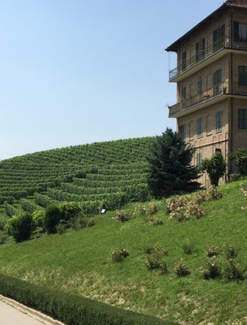 Across the vineyards at Fontanafredda with a glimpse of a Battenburg building